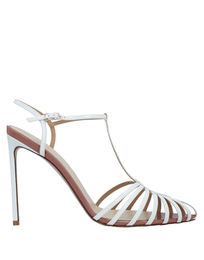 Shop Francesco Russo Sandals In White