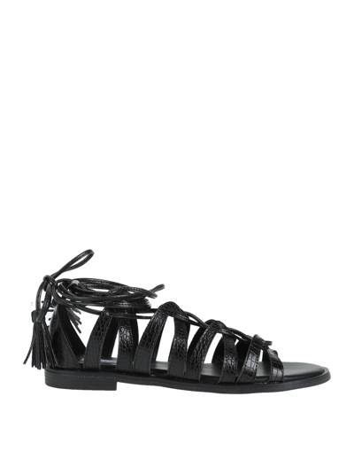 Shop Francesco Milano Sandals In Black