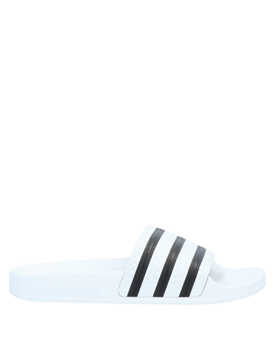 Shop Adidas Originals Man Sandals White Size 4 Rubber