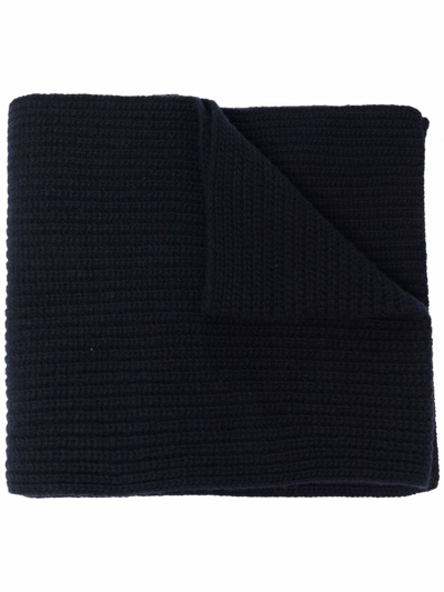 Shop Closed Ribbed Knit Scarf In 568 Dark Night