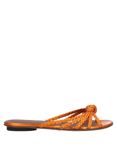 Shop L'autre Chose L' Autre Chose Woman Sandals Orange Size 7 Soft Leather