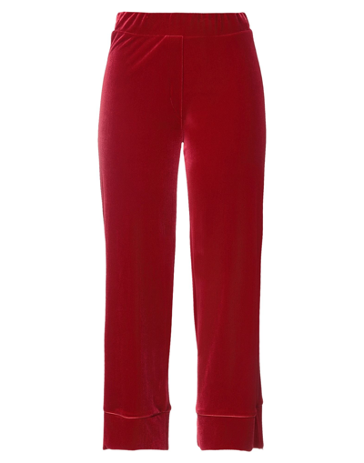 Shop Le Noir Woman Pants Red Size 6 Polyester, Elastane