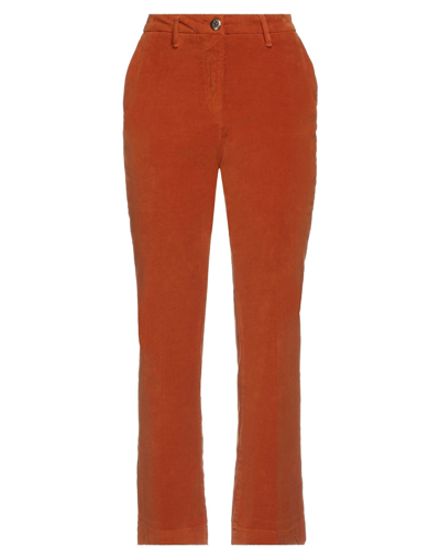 Shop Shaft Woman Pants Apricot Size 30 Modal, Polyamide, Cotton, Silk, Elastane In Orange