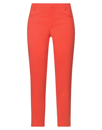 Shop Compagnia Italiana Woman Pants Orange Size 4 Cotton, Nylon, Rubber
