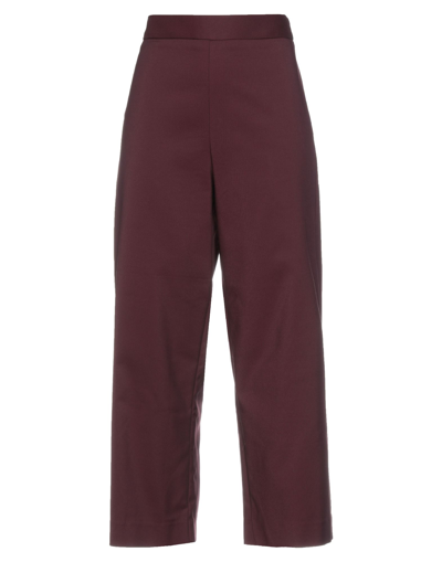 Shop Anonyme Designers Pants In Maroon
