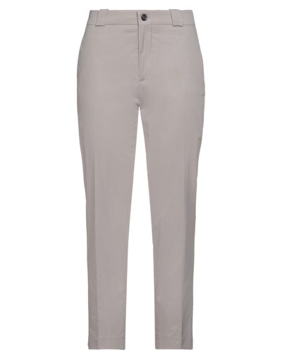 Shop Berwich Woman Pants Grey Size 12 Cotton, Elastane