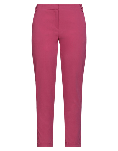 Shop Biancoghiaccio Woman Pants Fuchsia Size 8 Cotton, Polyester, Elastane In Pink