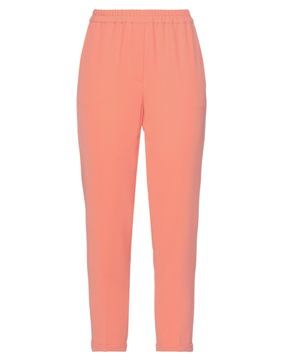 Shop Antonelli Woman Pants Salmon Pink Size 6 Polyester, Elastane