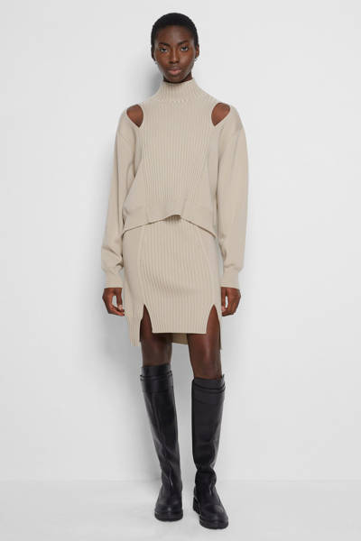 Shop Pre-fall 2021 Ready-to-wear Martha Recycled Knit Skirt In Sparrow