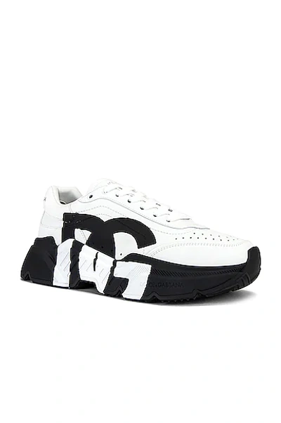 Shop Dolce & Gabbana Daymaster Sneakers In Bianco