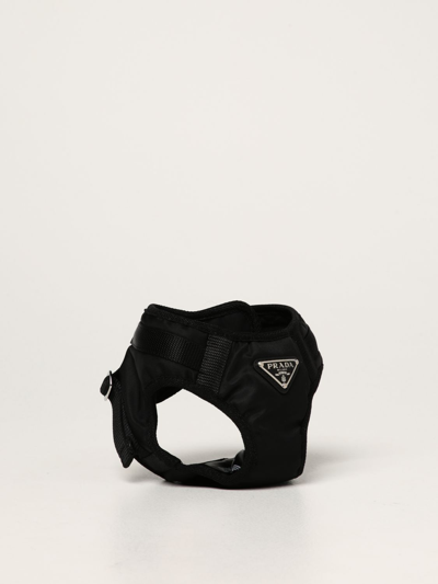 Shop Prada Nylon Harness In Black