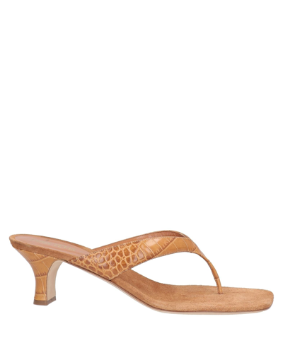 Shop Paris Texas Woman Toe Strap Sandals Camel Size 10 Soft Leather In Beige
