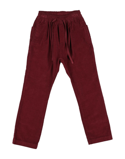 Shop Paolo Pecora Toddler Girl Pants Burgundy Size 6 Cotton In Red