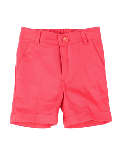 Shop Manuell & Frank Newborn Boy Shorts & Bermuda Shorts Red Size 3 Cotton, Elastane