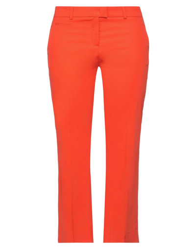 Shop Seductive Pants In Orange