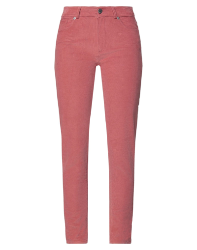 Shop Loro Piana Woman Pants Pastel Pink Size 6 Cotton, Elastane