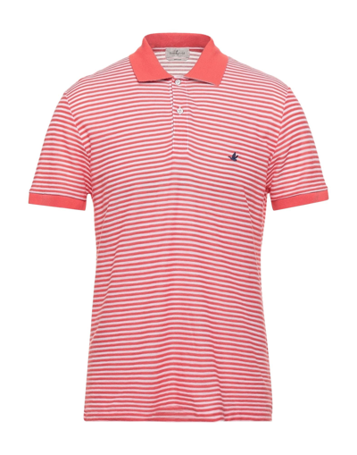 Shop Brooksfield Man Polo Shirt Coral Size 40 Cotton In Red