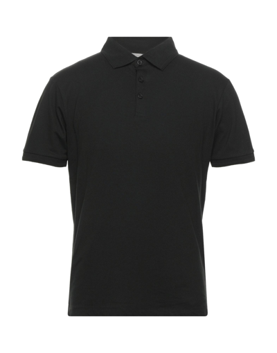 Shop Sseinse Man Polo Shirt Black Size S Cotton, Elastane