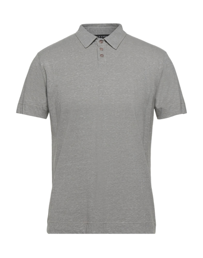 Shop Daniele Fiesoli Polo Shirts In Grey