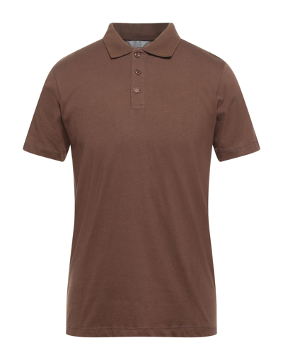 Shop Sseinse Man Polo Shirt Brown Size Xl Cotton