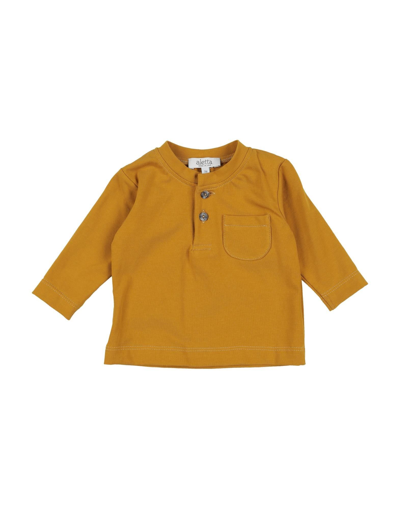 Shop Aletta Newborn Boy T-shirt Ocher Size 3 Cotton, Elastane In Yellow