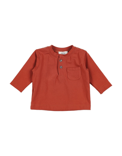 Shop Aletta Newborn Boy T-shirt Rust Size 3 Cotton, Elastane In Red