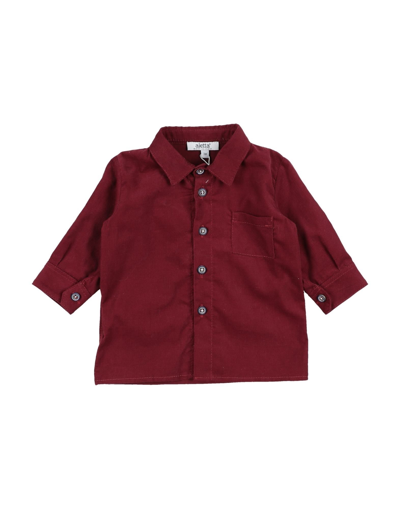 Shop Aletta Newborn Boy Shirt Brick Red Size 3 Cotton