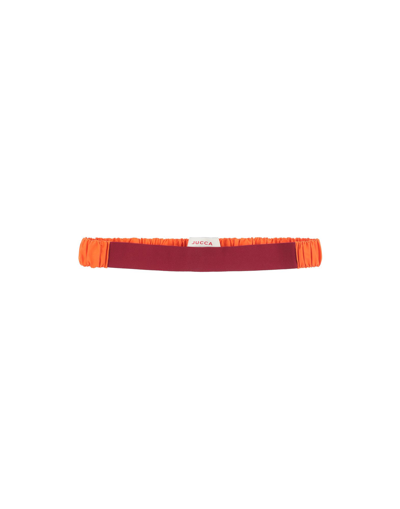 Shop Jucca Belts In Orange
