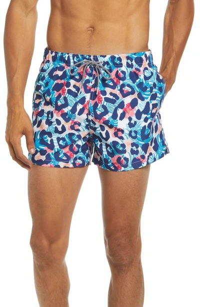 Shop Boardies Tropical Cheetah Shortie Swim Trunks In Blue