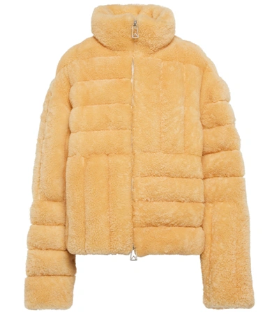 Shop Bottega Veneta Quilted Shearling Jacket In Butter