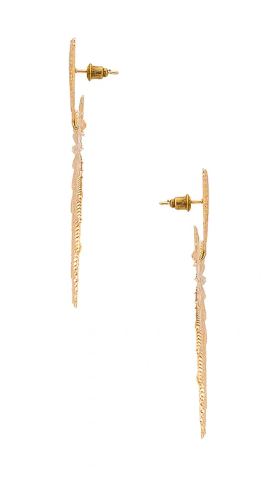 Shop Shashi Throne Earring In 金色