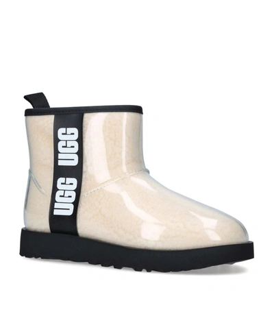 Shop Ugg Classic Clear Mini Boots In Ivory