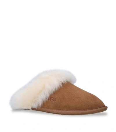 Shop Ugg Suede Scuff Sis Slippers In Brown