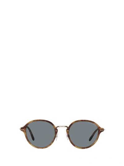Shop Giorgio Armani Ar8139 Brown Tortoise Sunglasses