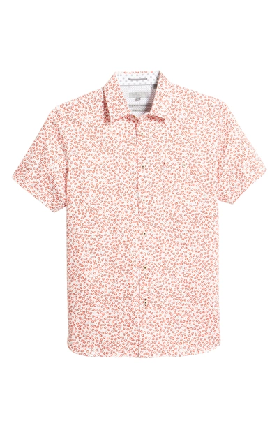 Shop Ted Baker Parslee Floral Stretch Short Sleeve Button-up Shirt In Red
