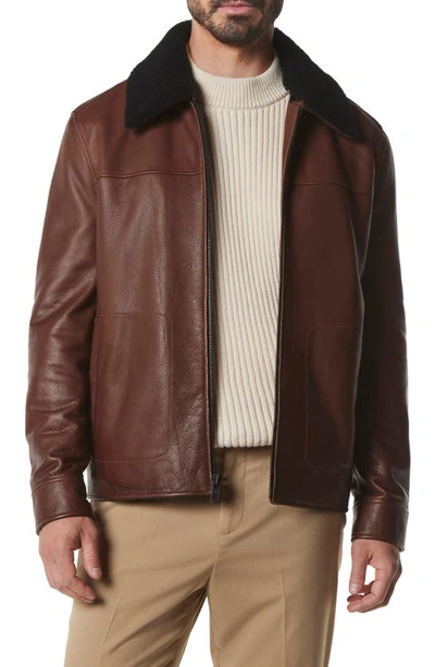 Shop Andrew Marc Truxton Genuine Shearling Trim Leather Jacket In Mocha