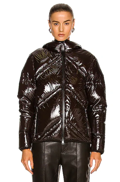 Bottega Veneta Shiny Nylon Chevron Puffer In Cocoa