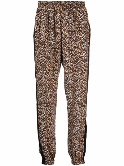 Shop Gold Hawk Leopard Print Trousers In Brown