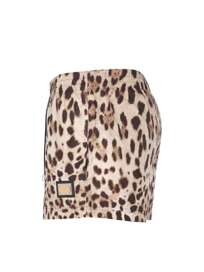 Shop Dolce & Gabbana Swimsuit With Animal Print In Animalier