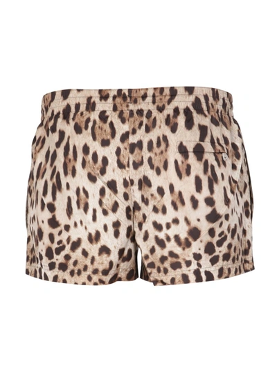 Shop Dolce & Gabbana Swimsuit With Animal Print In Animalier