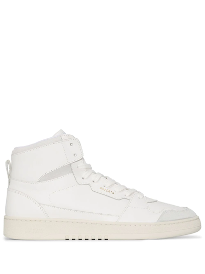 Axel Arigato Dice Hi Sneaker In 白色