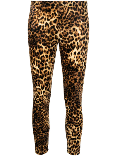 Shop Junya Watanabe Leopard-print Cropped Leggings In Brown