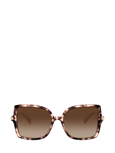Shop Valentino Va4072 Havana Pink Sunglasses