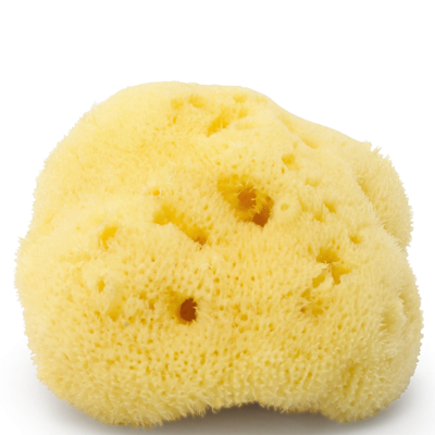 Argentum La Lune Sur L'eau Silk Sea Face Sponge