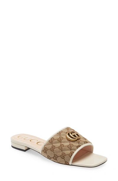 Shop Gucci Jolie Slide Sandal In Beige-ebony/ My White