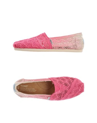 Shop Toms Low-tops In Fuchsia