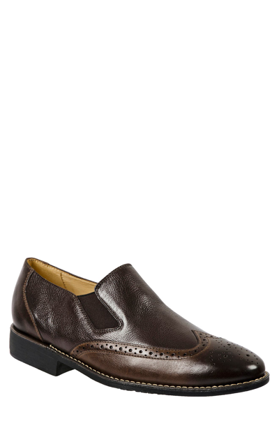 Shop Sandro Moscoloni Wingtip Loafer In Brown