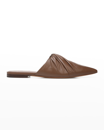 vince hedi mule