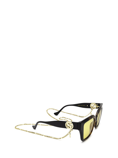 Shop Gucci Gg1023s Havana & Black Female Sunglasses