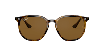 Ray Ban Ray In Brown